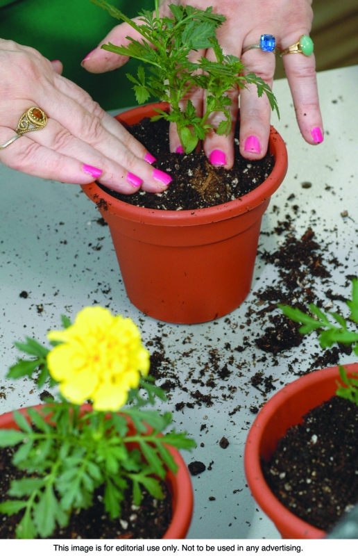 Hobbies for arthritis sufferers Editorial Service