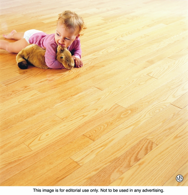 Healthy Hardwood Flooring Soy Based Finished Floors New Green